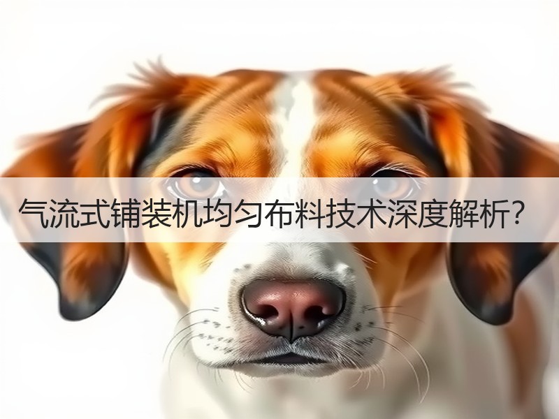 气流式铺装机均匀布料技术深度解析？