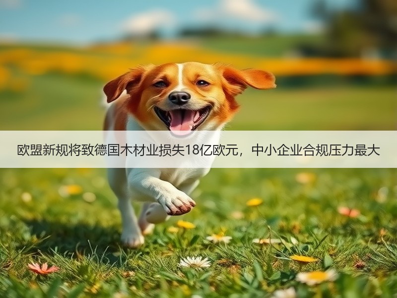欧盟新规将致德国木材业损失18亿欧元，中小企业合规压力最大