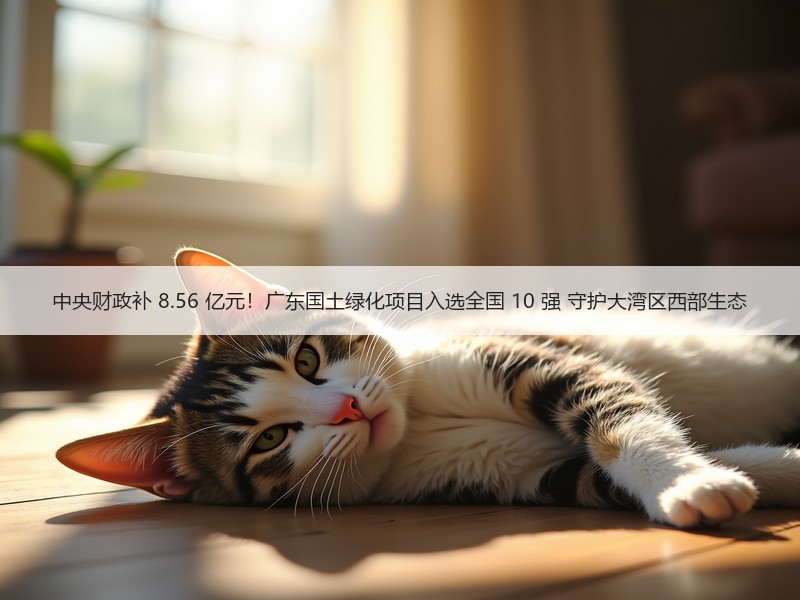 中央财政补 8.56 亿元！广东国土绿化项目入选全国 10 强 守护大湾区西部生态