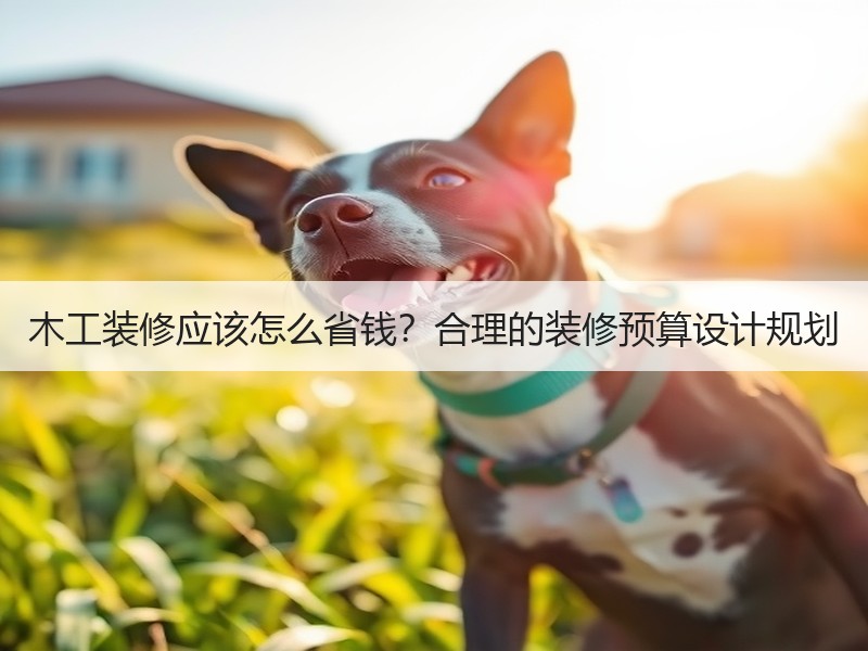木工装修应该怎么省钱？合理的装修预算设计规划