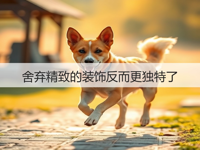 舍弃精致的装饰反而更独特了