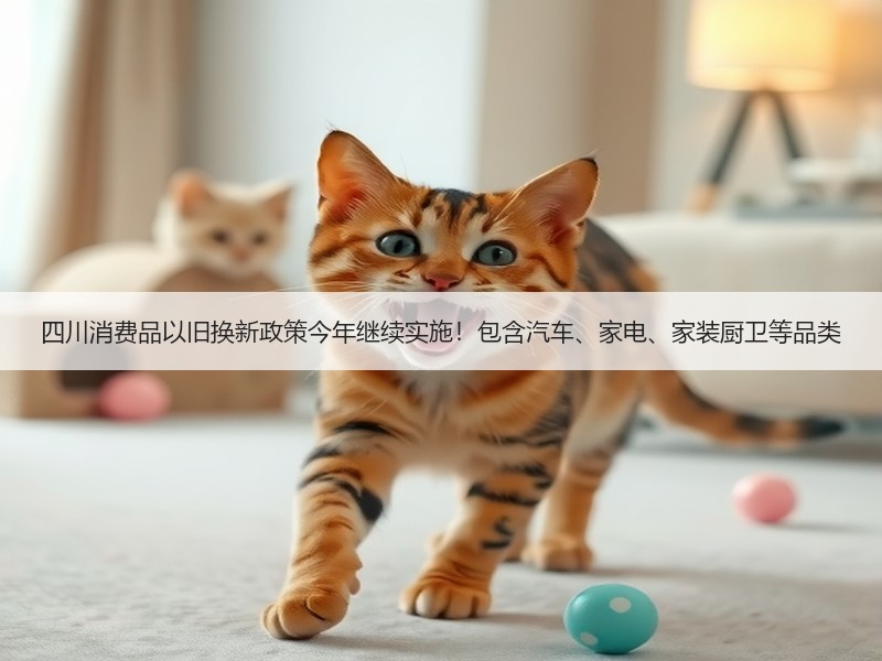 四川消费品以旧换新政策今年继续实施！包含汽车、家电、家装厨卫等品类