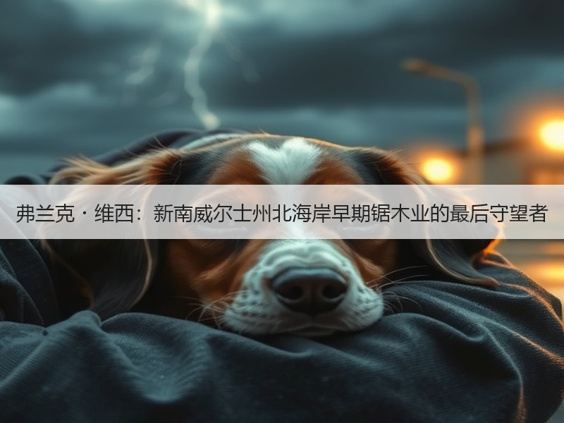 弗兰克・维西：新南威尔士州北海岸早期锯木业的最后守望者