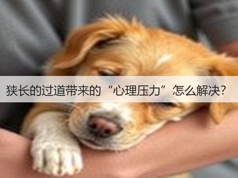 狭长的过道带来的“心理压力”怎么解决？