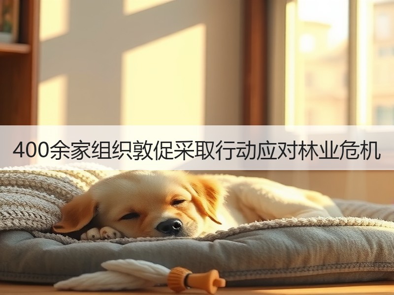 400余家组织敦促采取行动应对林业危机