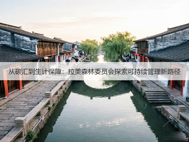 从碳汇到生计保障：拉美森林委员会探索可持续管理新路径