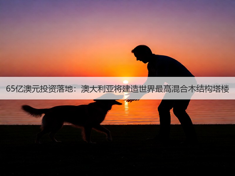 65亿澳元投资落地：澳大利亚将建造世界最高混合木结构塔楼