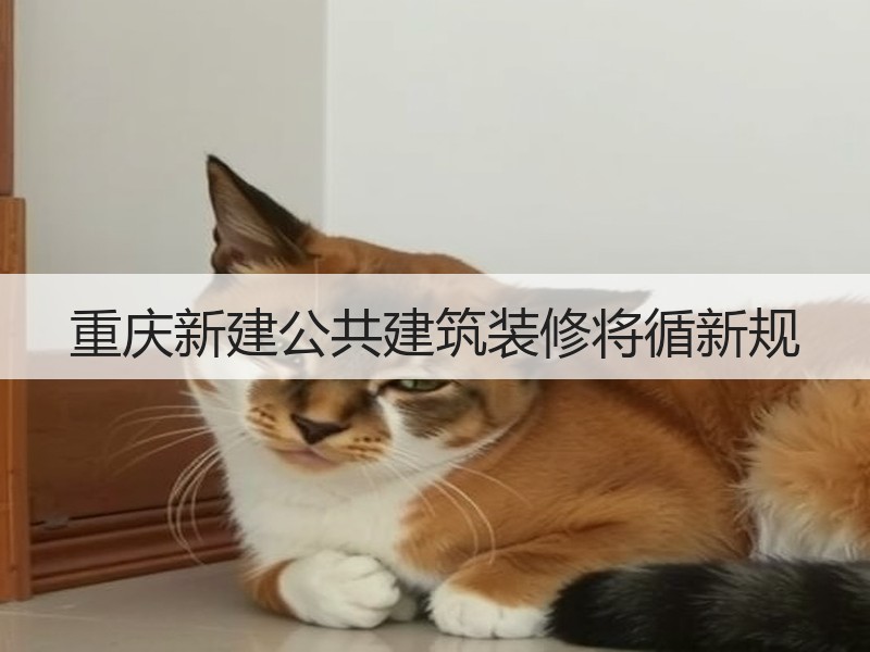 重庆新建公共建筑装修将循新规