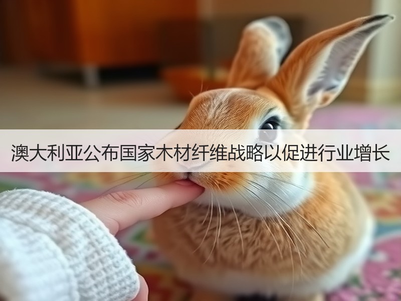 澳大利亚公布国家木材纤维战略以促进行业增长