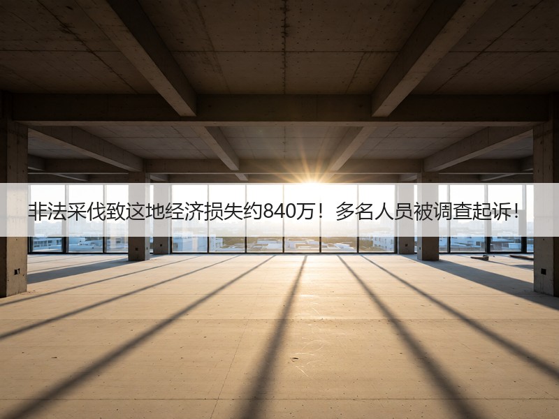 非法采伐致这地经济损失约840万！多名人员被调查起诉！