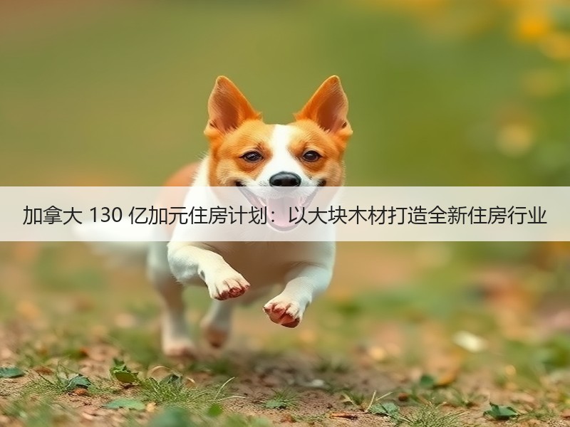 加拿大 130 亿加元住房计划：以大块木材打造全新住房行业