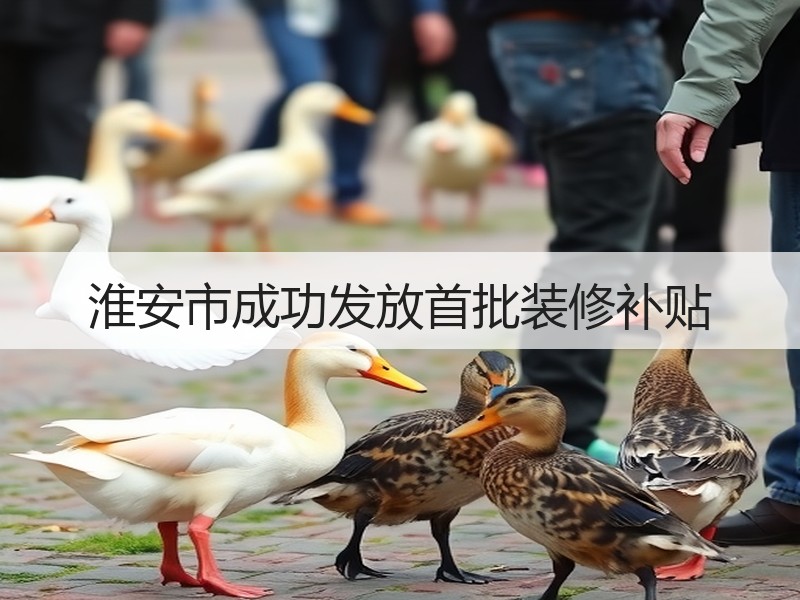 淮安市成功发放首批装修补贴