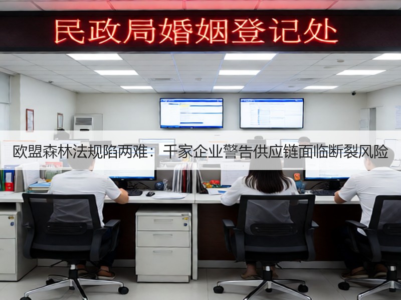 欧盟森林法规陷两难：千家企业警告供应链面临断裂风险
