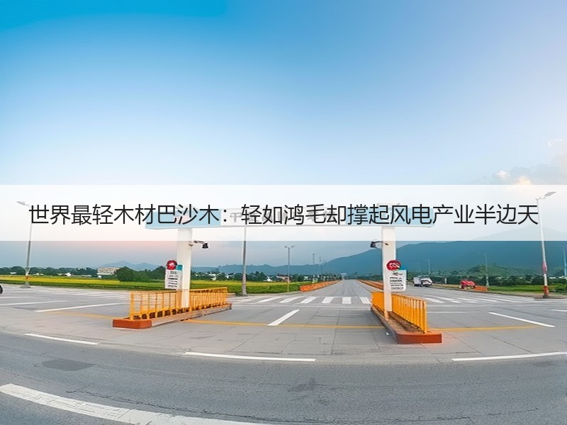 世界最轻木材巴沙木：轻如鸿毛却撑起风电产业半边天