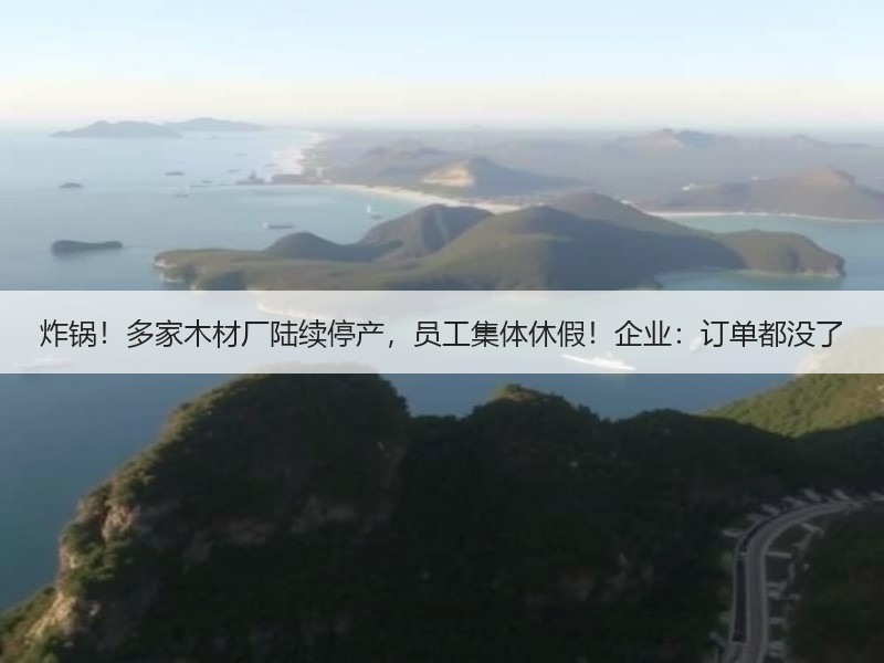 炸锅！多家木材厂陆续停产，员工集体休假！企业：订单都没了