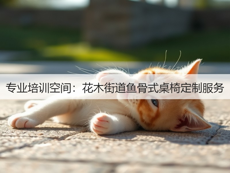 专业培训空间：花木街道鱼骨式桌椅定制服务