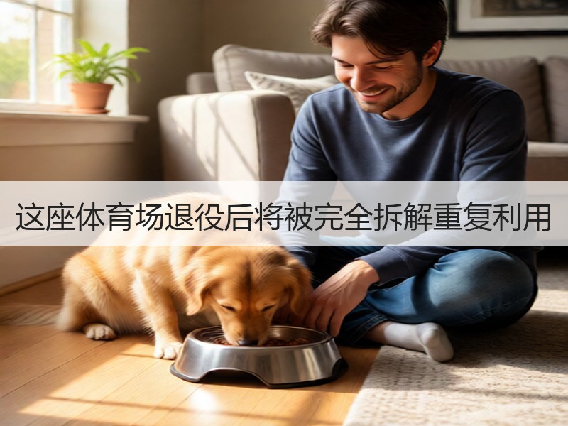 这座体育场退役后将被完全拆解重复利用