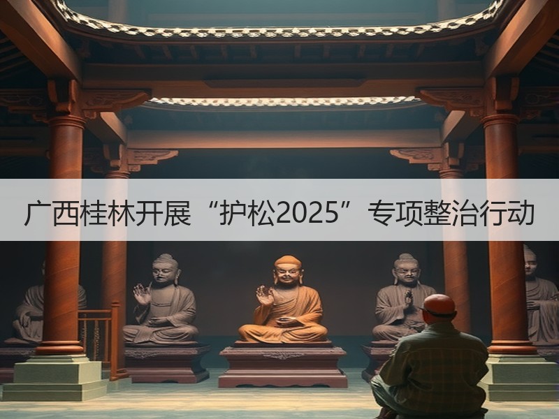 广西桂林开展“护松2025”专项整治行动
