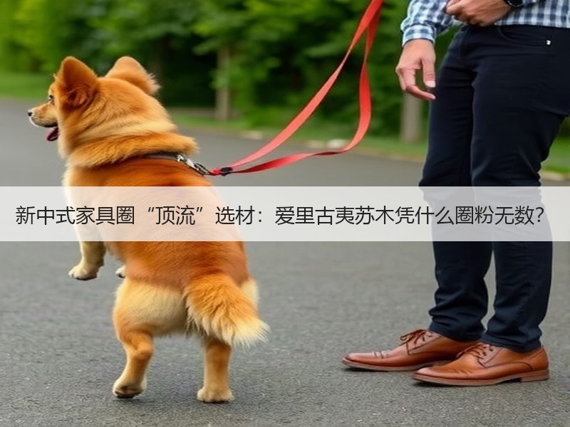 新中式家具圈“顶流”选材：爱里古夷苏木凭什么圈粉无数？