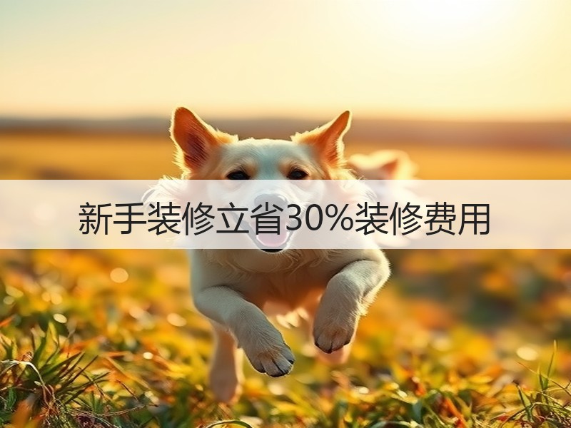 新手装修立省30%装修费用